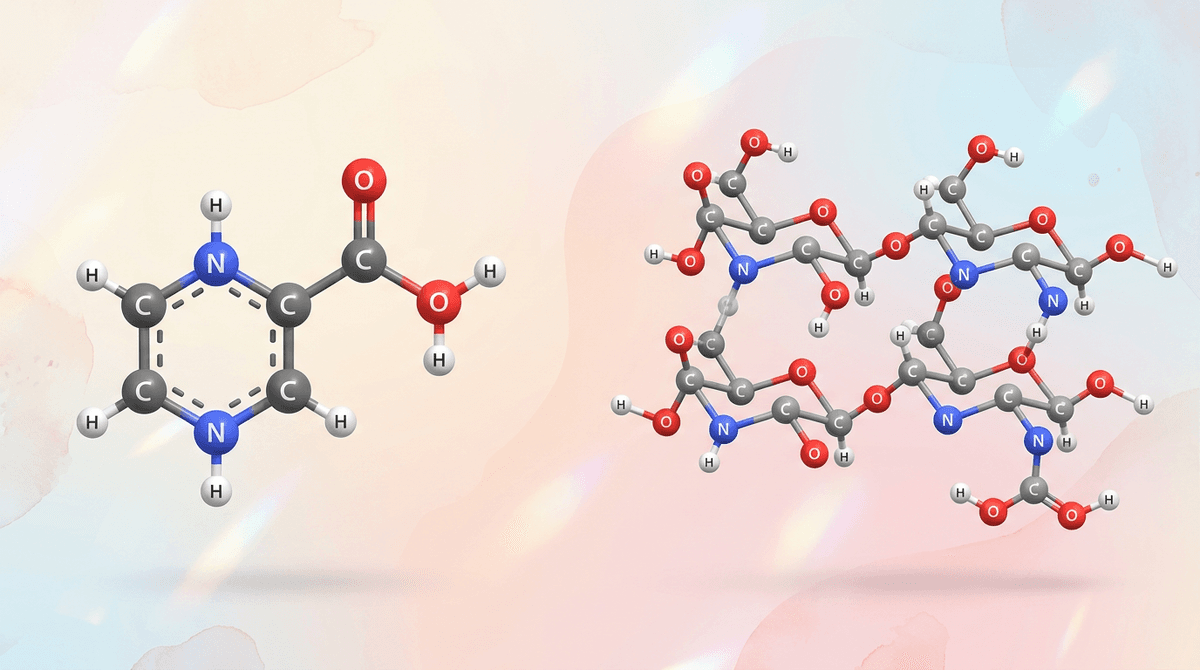 Scientific molecular structure visualization of niacinamide and hyaluronic acid molecules side by side, clean pastel background, minimalist scientific illustration style